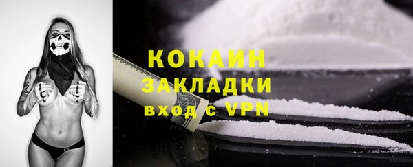 ГАЛЛЮЦИНОГЕННЫЕ ГРИБЫ Алексин