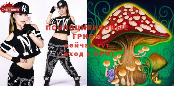 тгк Алзамай