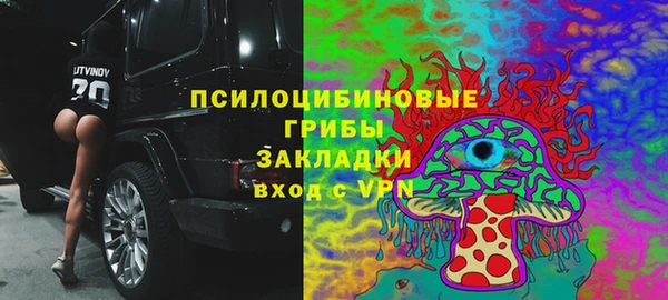 ГАЛЛЮЦИНОГЕННЫЕ ГРИБЫ Алексин